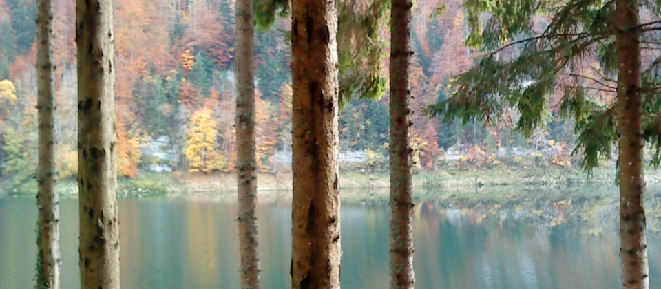 petit coin secret dans les méandres du Doubs